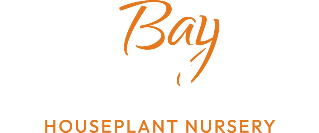 bay-botanics-logo